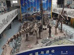 -中国地质大学逸夫博物馆