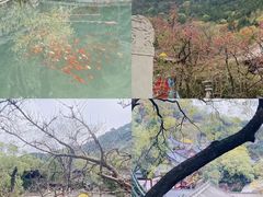 -华清宫景区