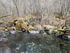 -叠溪松坪沟景区
