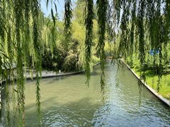 -皇家御河游(紫御湾码头)