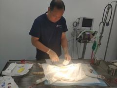 -良伴无忧宠物医院(泰欣嘉园店)