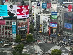 -涩谷全向十字路口