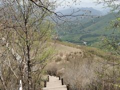 -白草畔自然风景区