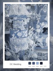 -DC大蔡婚礼策划(李公堤店)