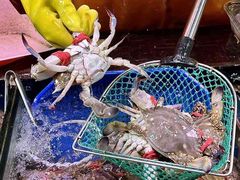 -清真老马家海鲜大排档(台东店)