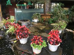 -乡村小榭饭店