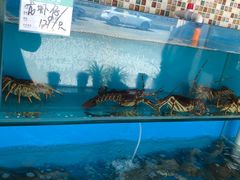 -港畔赶海蒸汽海鲜烧烤自助(仙螺岛店)