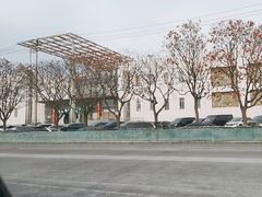 -花鸟鱼虫鲜花绿植市场(玉泉路店)