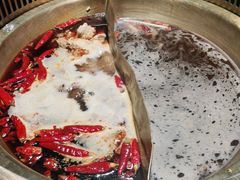 -麻路成都火锅(柏威年店)