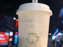 双蛋小皇椰（白屁屁）-茶力的小怪兽(梅林卓悦汇店)