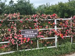 -名花谷生态庄园