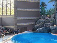 -珠海长隆海洋王国