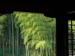 -兰亭风景区
