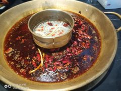 -杨家火锅(国美店)
