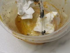 -秦君宝手擀菠菜面(金花路店)