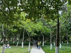 -火炉山森林公园