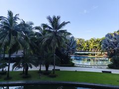 -三亚湾海居铂尔曼度假酒店