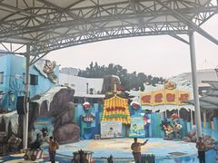 -海合安成都极地海洋公园