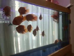 -WENDY·温迪皮肤管理