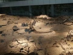 -自贡恐龙博物馆