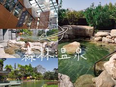 -太阳岛度假酒店