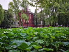 -四川大学(望江校区)