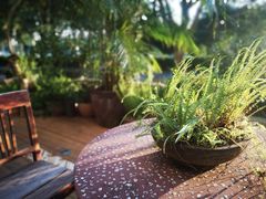 -时光花园(白鹭洲店)