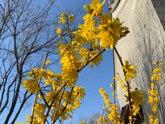 -北京大学-燕南食堂