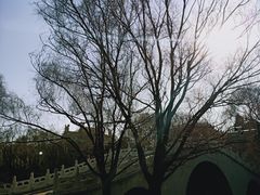 -玉佛苑