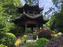 -梁鸿国家湿地公园