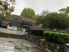 -合肥野生动物园