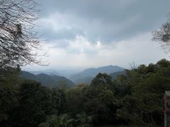 -莫干山风景区