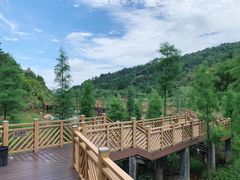 -神光山国家森林公园