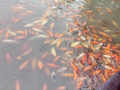 -上海方塔园