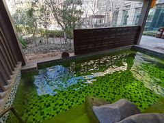 -北京乐多港万豪酒店汤乐宫温泉