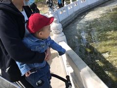 -丰台花园