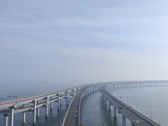 -星海湾跨海大桥