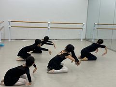 -红舞鞋舞蹈教育(近江校区)