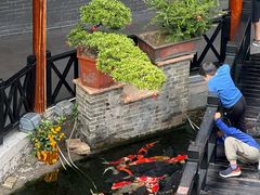 -猪肉婆私房菜(容桂总店)