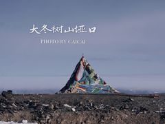 -大冬树山垭口