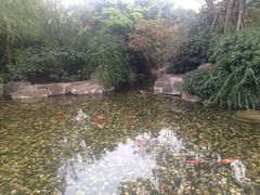 iphone_upload_pic-苏州环球188国际公寓(金鸡湖店)