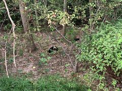 -昆山城市生态森林公园