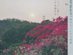 -小南山公园