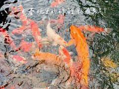 -长春观