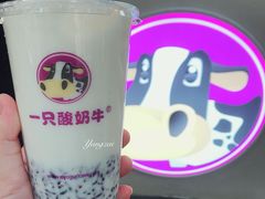 -一只酸奶牛(八一路店)