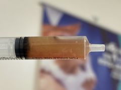 -派联宠物医院·24h·CT·异宠