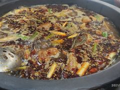 -秦巴石锅鱼(文化南路店)