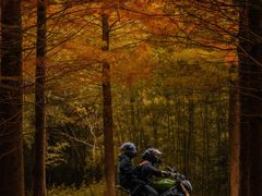 -南京市无想山景区