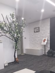 -ANRI安里·专业男士脱毛连锁