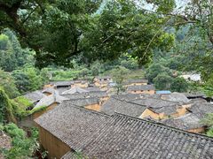-杨家堂村
